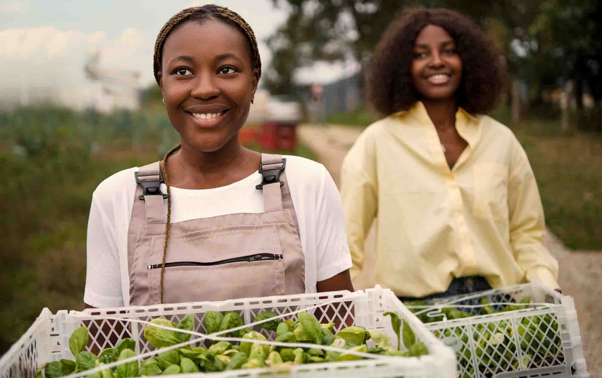 Module 8 : Gestion des Ressources Humaines dans l’Agroalimentaire